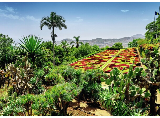 Botanical Garden 1000 biter Puslespill Ravensburger Puzzle 
