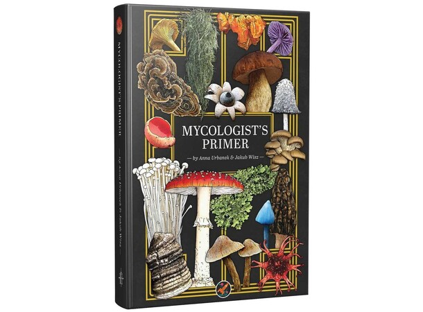 D&D 5E Mycologists Primer Dungeons & Dragons 