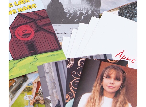 Detective for a Day Kultmedlemmene Drapet på Kultmedlemmene 