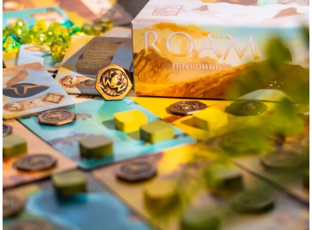 Roam Brettspill 