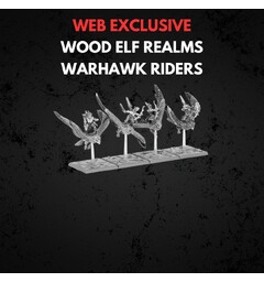 Wood Elf Realms Warhawk Riders Warhammer The Old World
