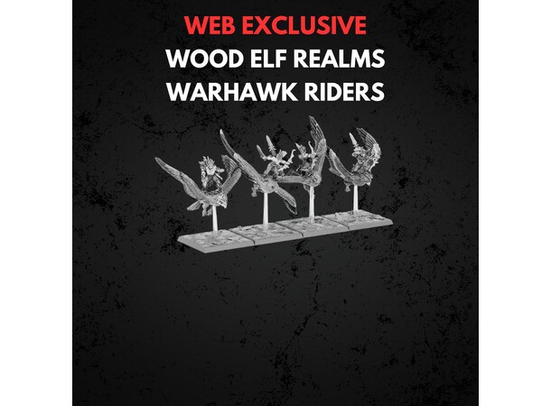 Wood Elf Realms Warhawk Riders Warhammer The Old World 