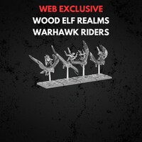 Wood Elf Realms Warhawk Riders Warhammer The Old World